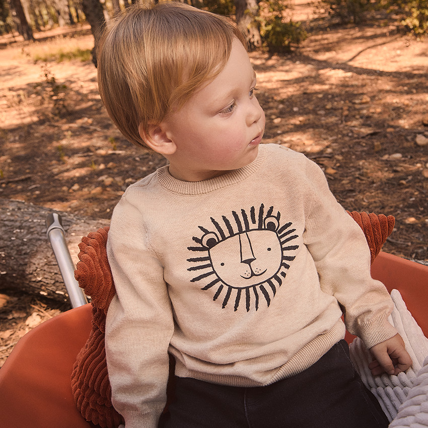 Πλεκτό πουλόβερ με σχέδιο λιοντάρι για μωρό αγόρι 