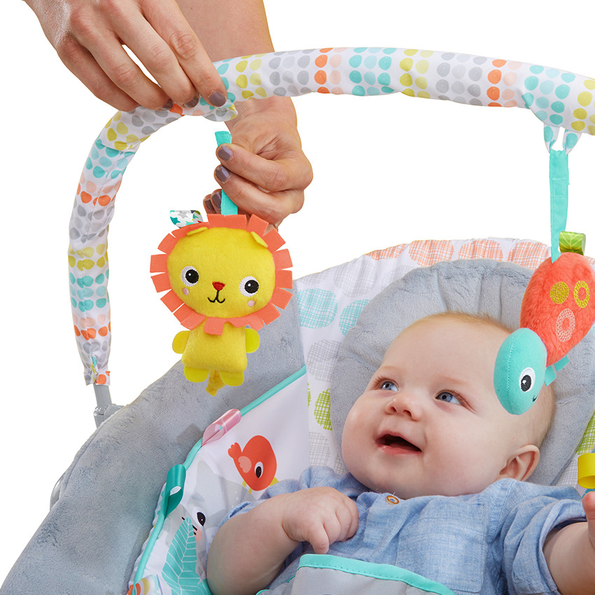  Άνετο Ριλάξ Bright Starts Whimsical Wild 