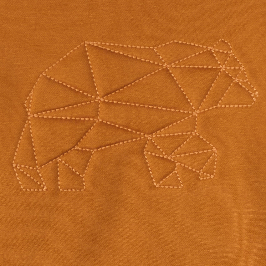 Sweat molleton avec animal surpiqué pour garçon 