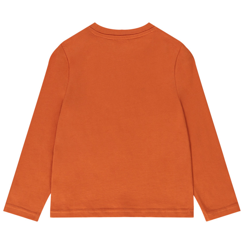 T-shirt μακρυμάνικο από jersey με φαντεζί print για αγόρι  Additional T-shirt μακρυμάνικο από jersey με φαντεζί print για αγόρι