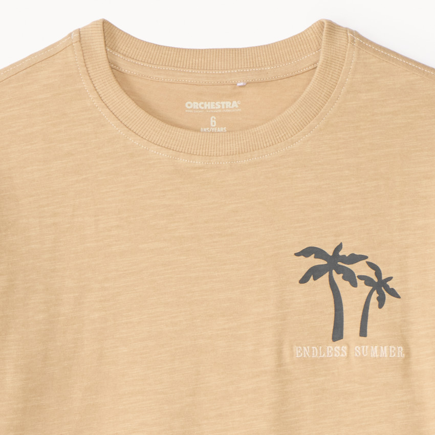 T-shirt κοντομάνικο με ριγέ σχέδιο και εκτύπωση φοινίκων για αγόρια 