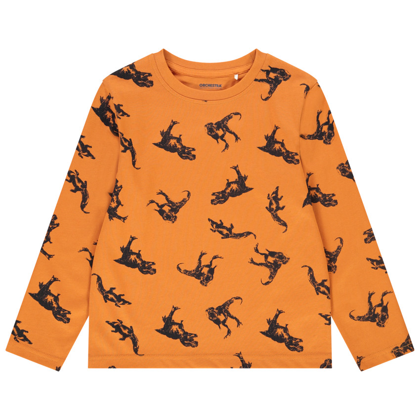 T-shirt manches longues imprimé dinosaures pour garçon Main T-shirt manches longues imprimé dinosaures pour garçon