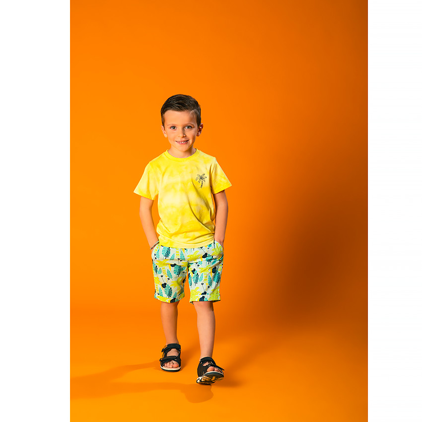 Κοντομάνικο μπλουζάκι tie and dye με σχέδιο φοίνικα για αγόρι 