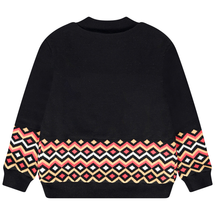 Pull en tricot print Harry Potter Warner pour garçon 