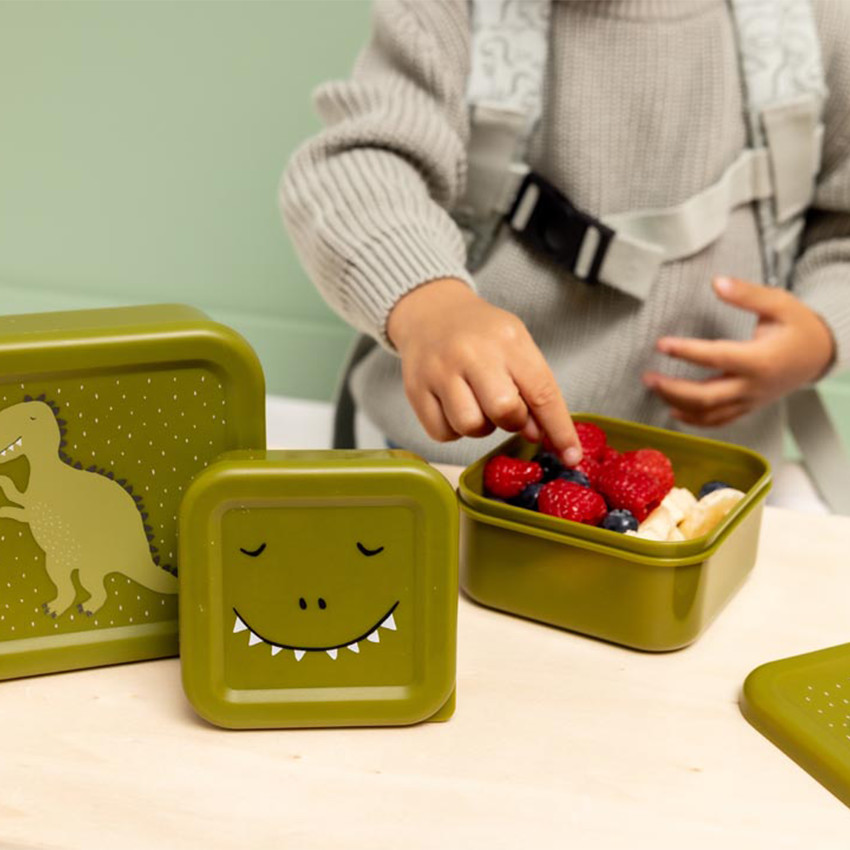 Σετ 3 πράσινα lunchbox gigognes Mr. Dino 