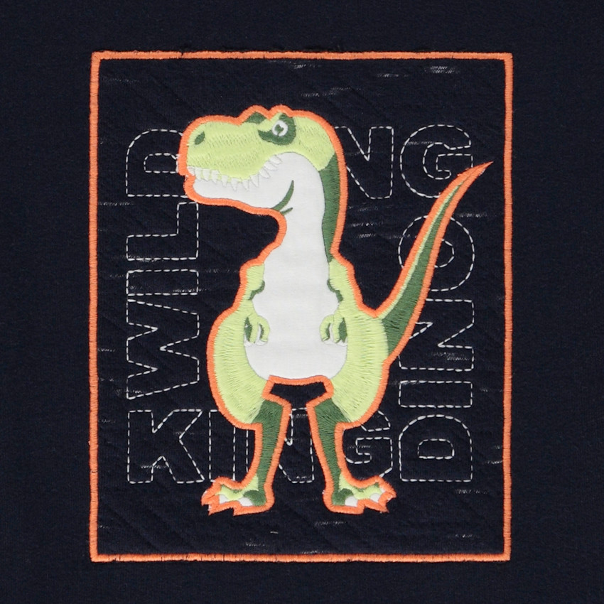 "Φούτερ molleton με σχέδιο T.Rex για αγόρι" 