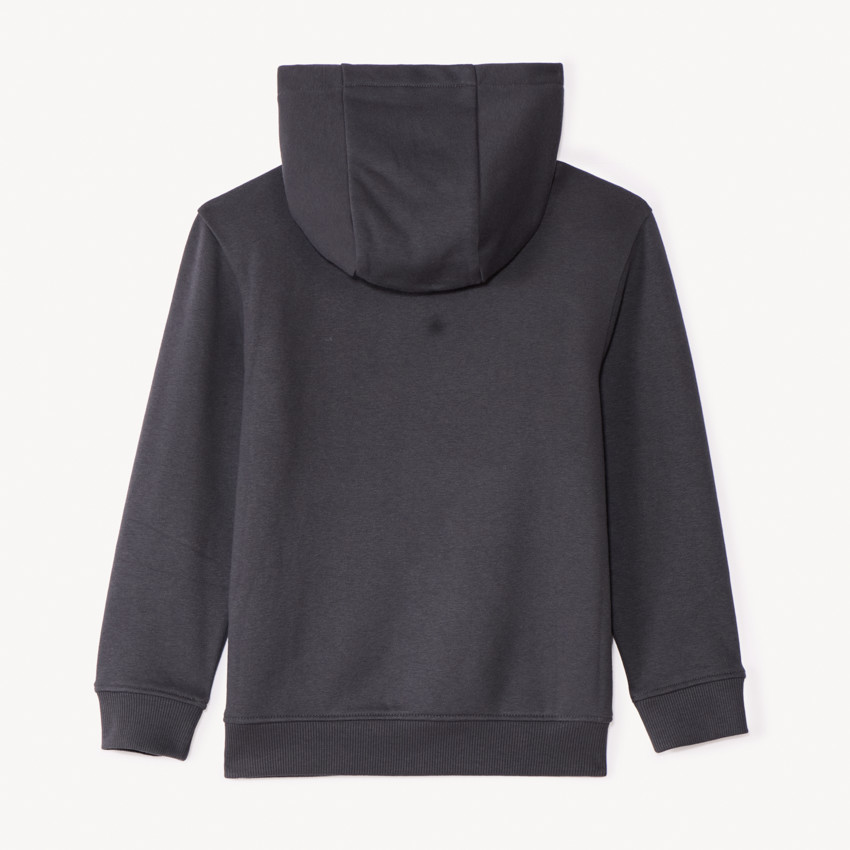 Sweat en molleton uni avec print et puff print fantaisie pour garçon 