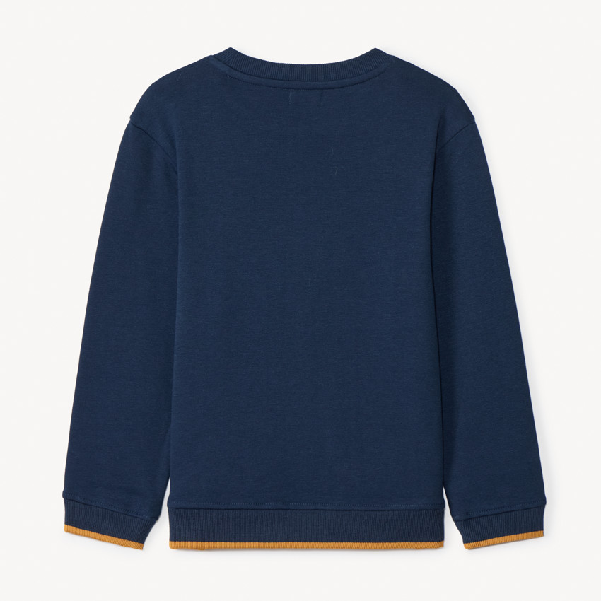 Sweat molleton avec broderie effet bouclette pour garçon  