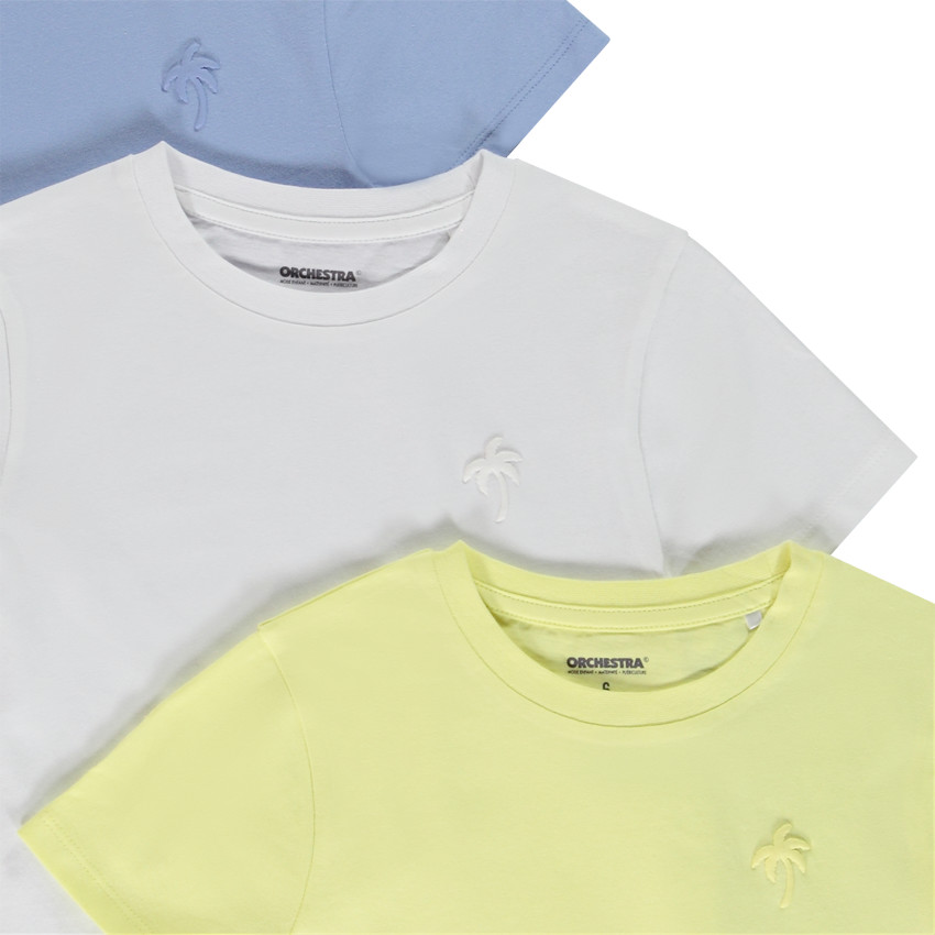 Σετ από 3 κοντομάνικα μπλουζάκια με puff print φοίνικα για αγόρι 