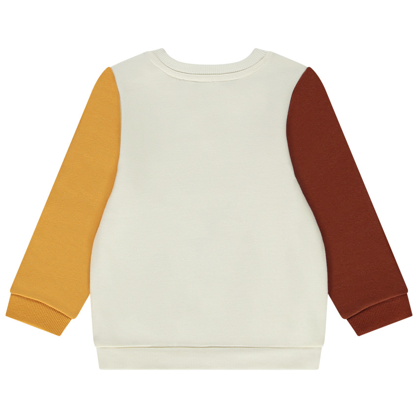 Φούτερ color block Simba Disney για bebe αγόρι 