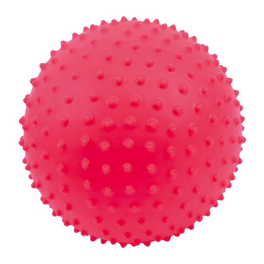 Playgo First Sensory Ball 