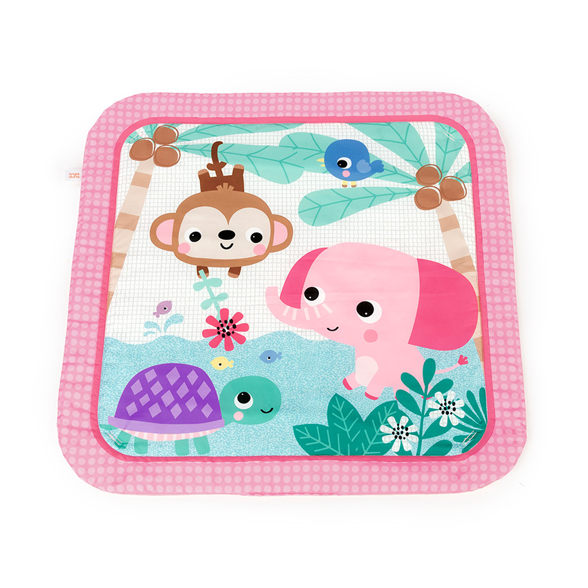 Βρεφικό Γυμναστήριο Floral Safari™ Bright Starts  