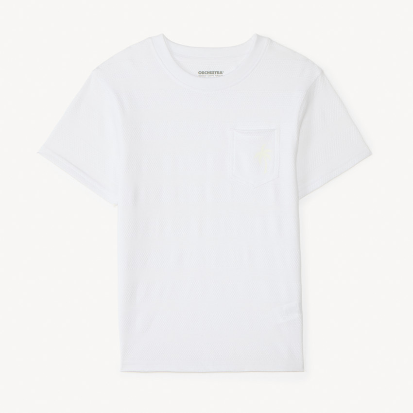 T-shirt en maille fantaisie imprimé palmier pour garçon 