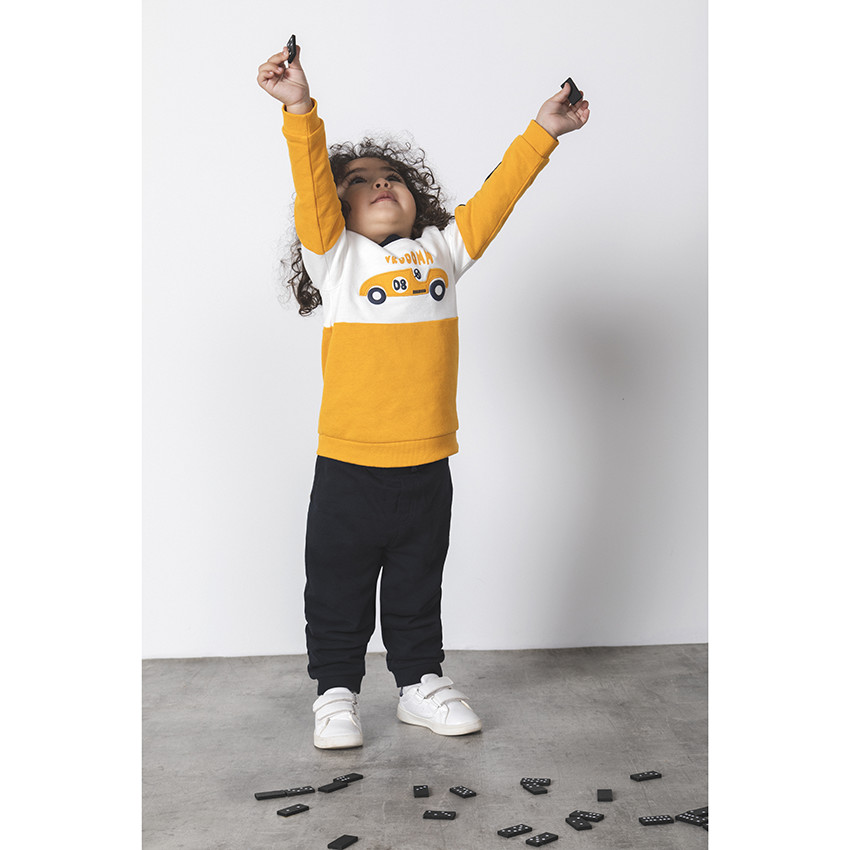 Jogging molleton Color block για bebe αγόρι 