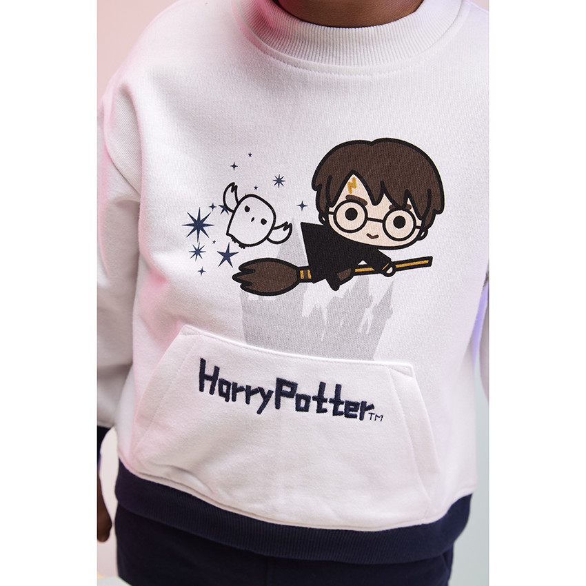 Φούτερ molleton visuel Harry Potter Warner για bebe αγόρι 