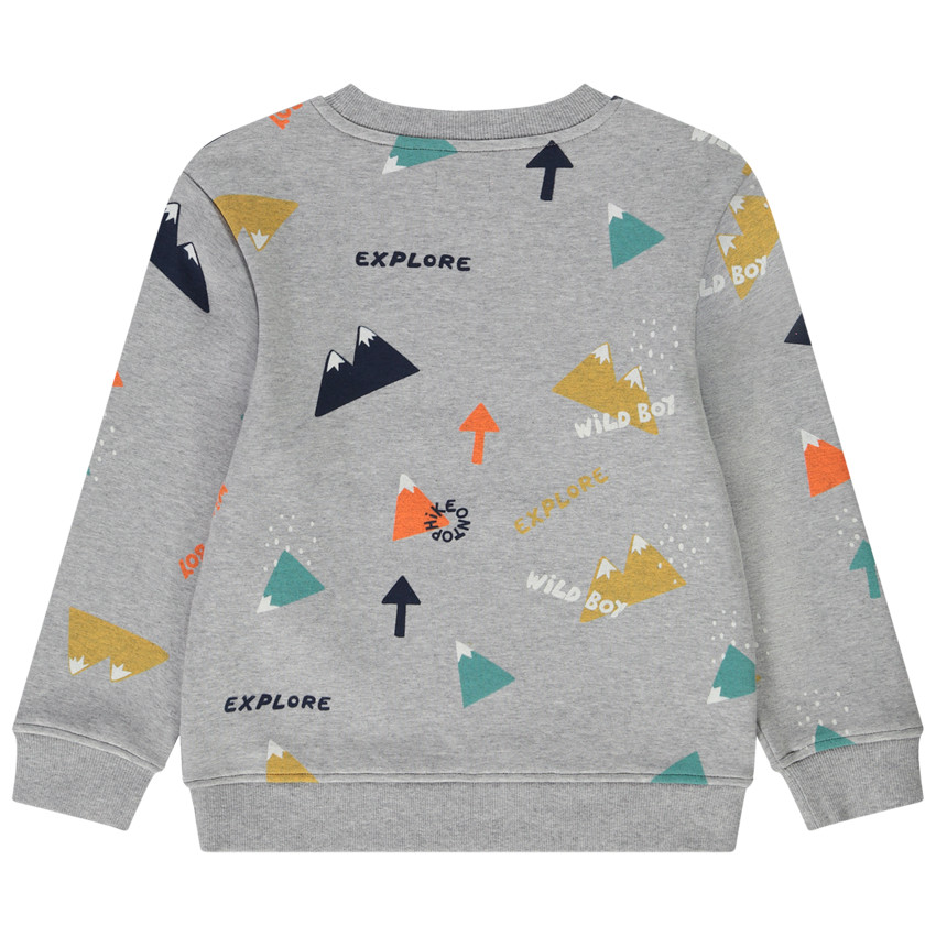 Φούτερ σε molleton με σχέδιο βουνά για αγόρι 