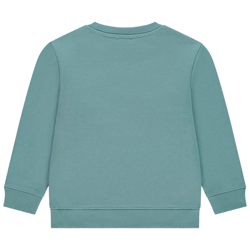 Φούτερ με κέντημα 3D για αγόρι 