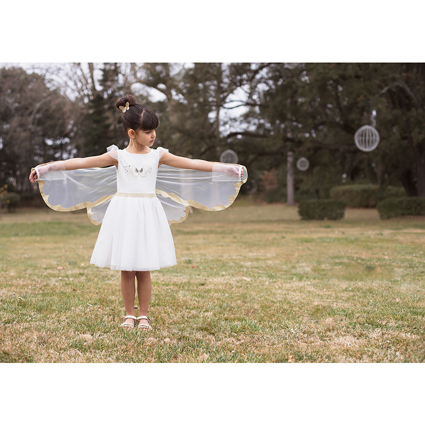 Robe de cérémonie en tulle + ailes de papillon pour fille 