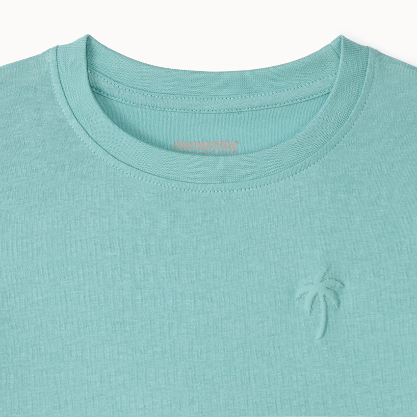 Σετ 3 μονόχρωμων κοντομάνικων μπλουζών με σχέδιο φοίνικα για αγόρι 