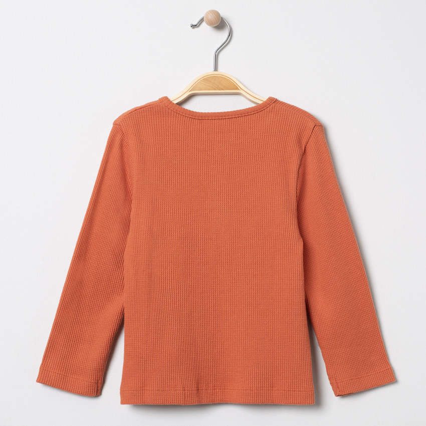 T-shirt μακρυμάνικο με οργανικό βαμβάκι με σχέδιο animal 