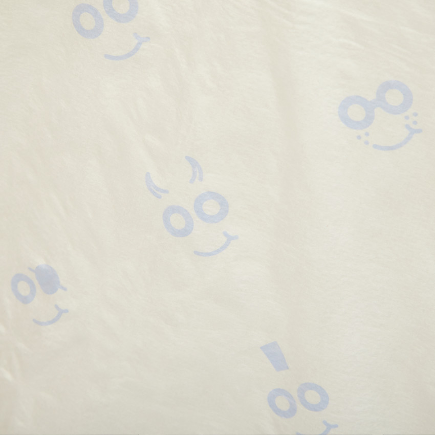 Σετ από 10 μίας χρήσης πάνες αλλαγής 60 x 60 cm 