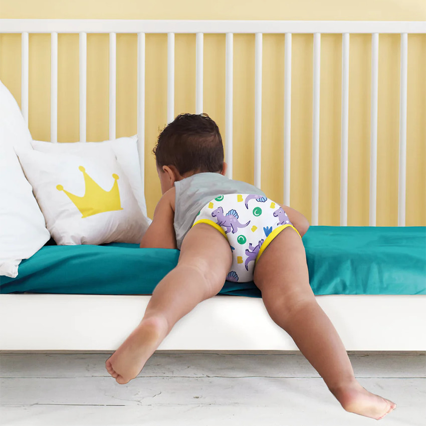 Lot de 3 culottes d'apprentissage lavables 2-3 ans Brave Dinos 