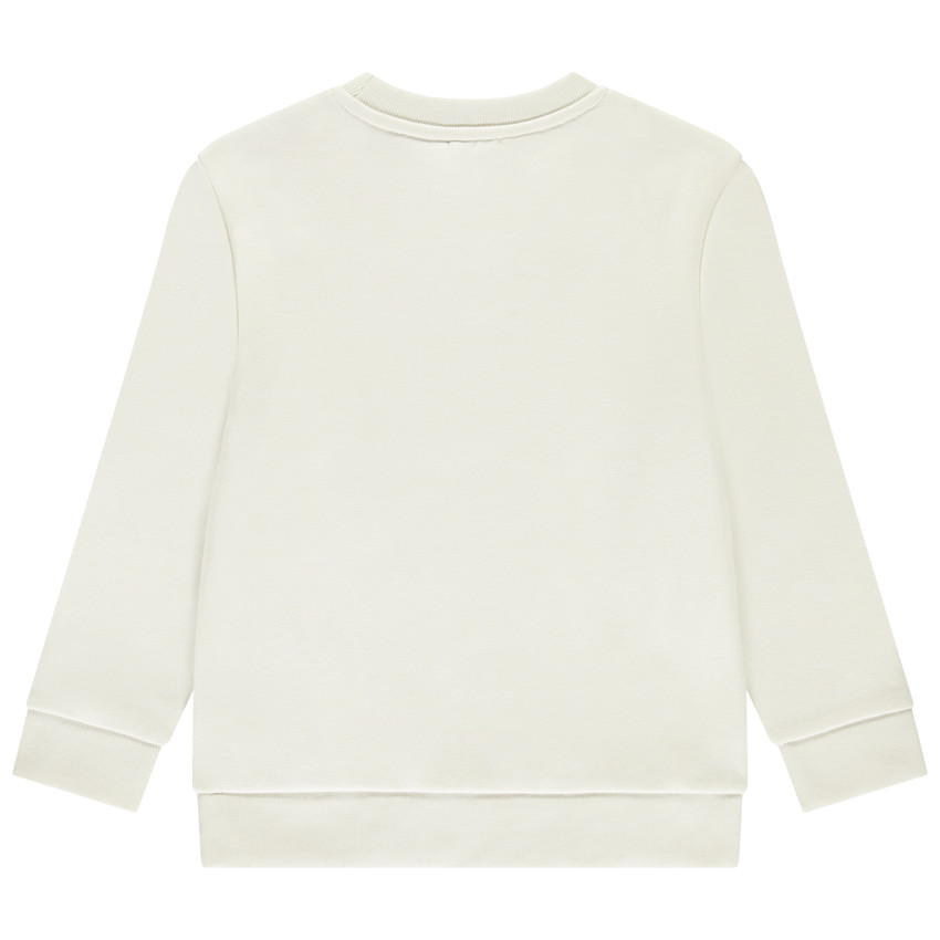 Sweat en molleton print fantaisie pour garçon 