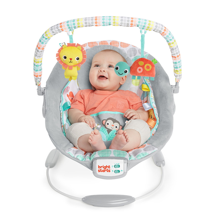  Άνετο Ριλάξ Bright Starts Whimsical Wild 