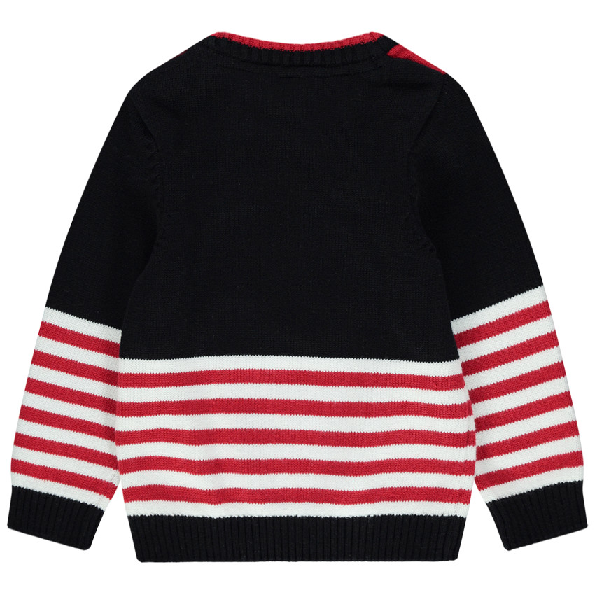 Pull en tricot à rayures motif raton laveur  