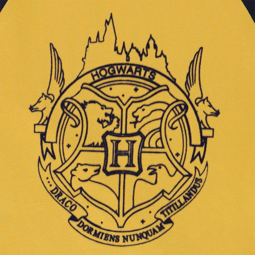 T-shirt κοντομάνικο jersey σχέδιο Harry Potter για αγόρι Main T-shirt κοντομάνικο jersey σχέδιο Harry Potter για αγόρι