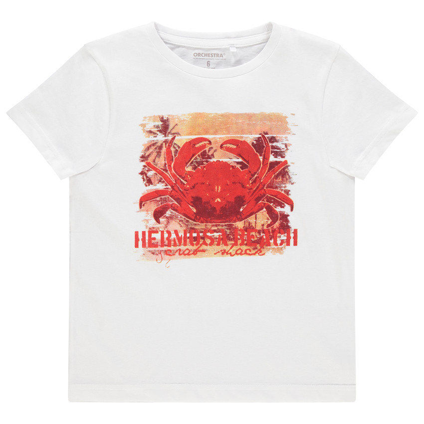 T-shirt κοντομάνικο με οργανικό βαμβάκι και σχέδιο φαντεζί Main T-shirt κοντομάνικο με οργανικό βαμβάκι και σχέδιο φαντεζί