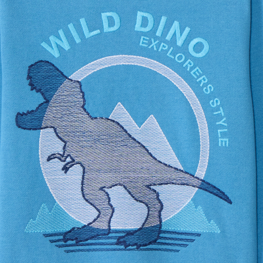 Φούτερ molleton με κέντημα T-Rex για αγόρι 