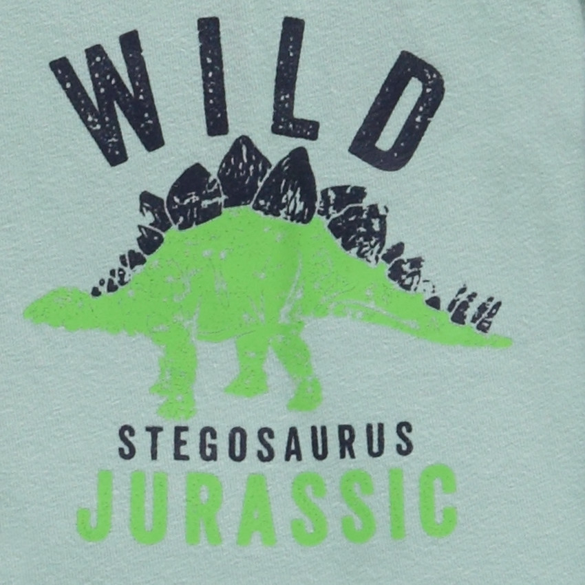 Σετ από 5 boxers με σχέδια Wild Dinos αγόρι 