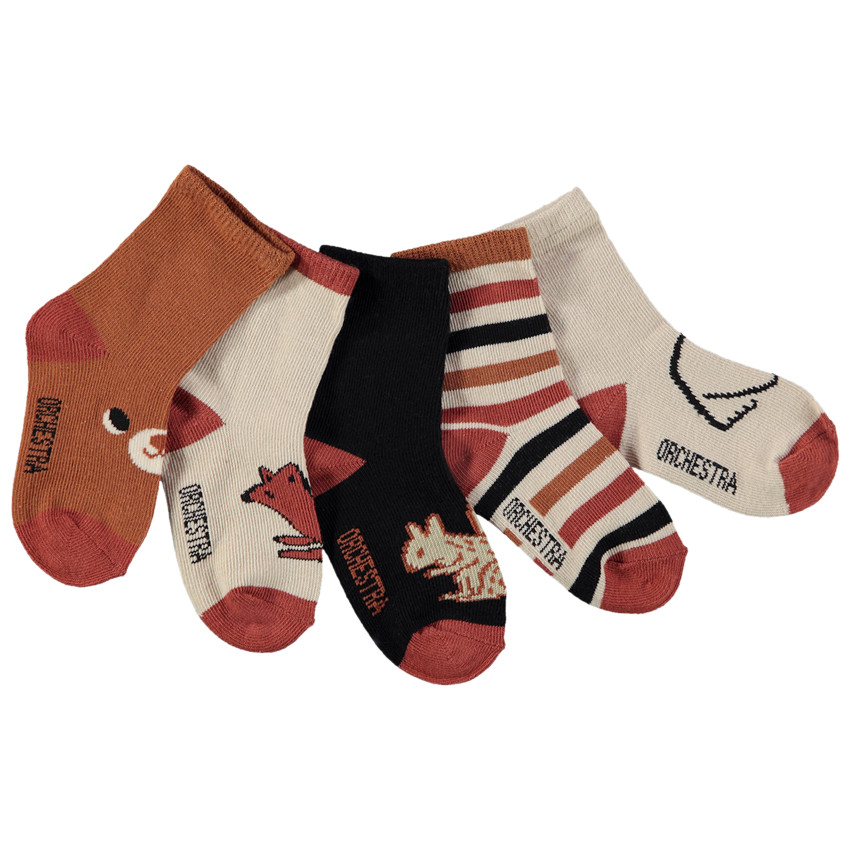 Lot de 5 paires de chaussettes motifs forêt pour garçon 