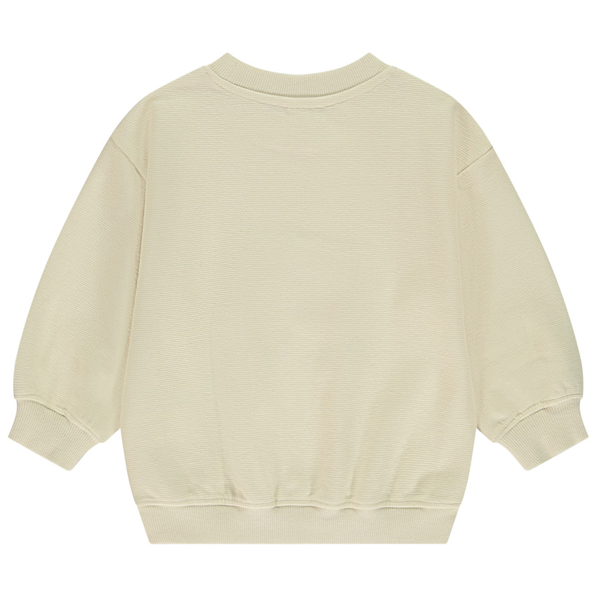 Φούτερ molleton oversized με σχέδιο ζωγραφικής για bebe αγόρι 