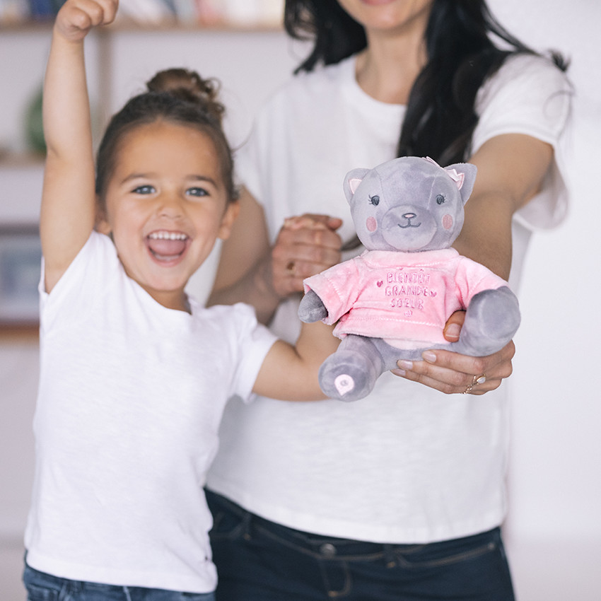 Αρκούδα από βελούδο 