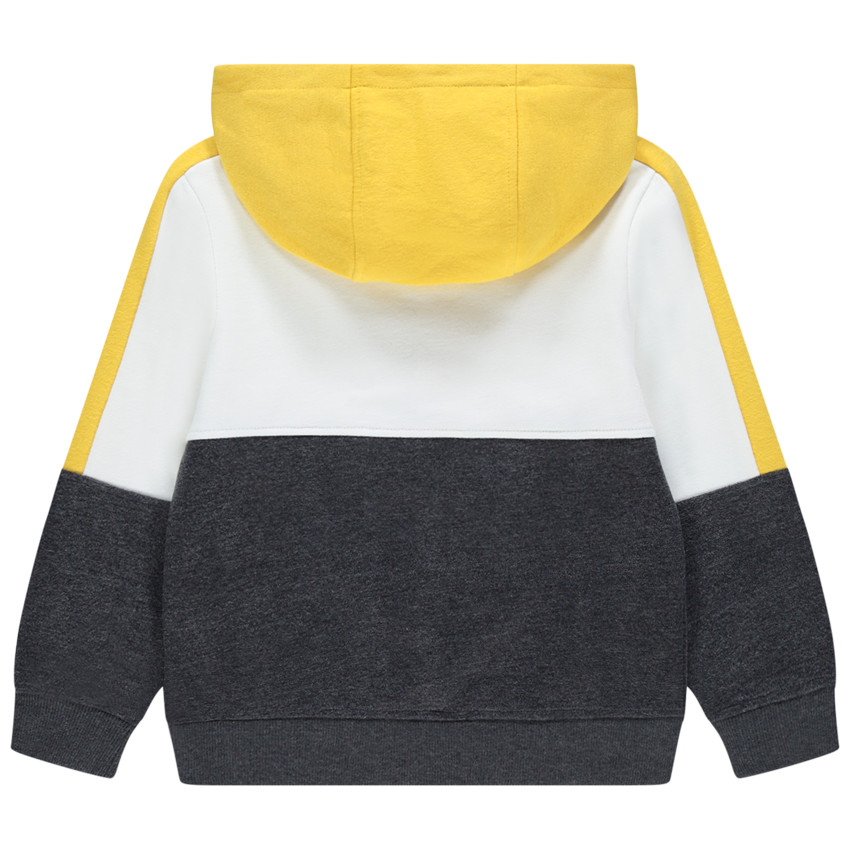 Φούτερ με κουκούλα molleton για αγόρι 