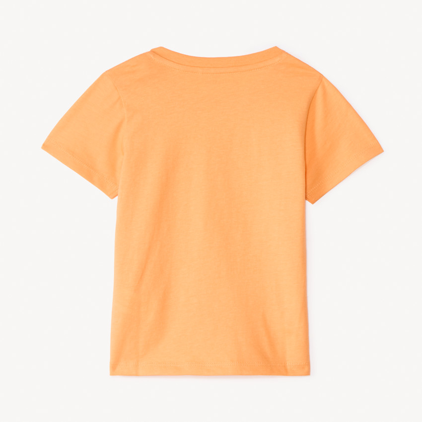 T-shirt à manches longues avec imprimé Lion pour bébé garçon 