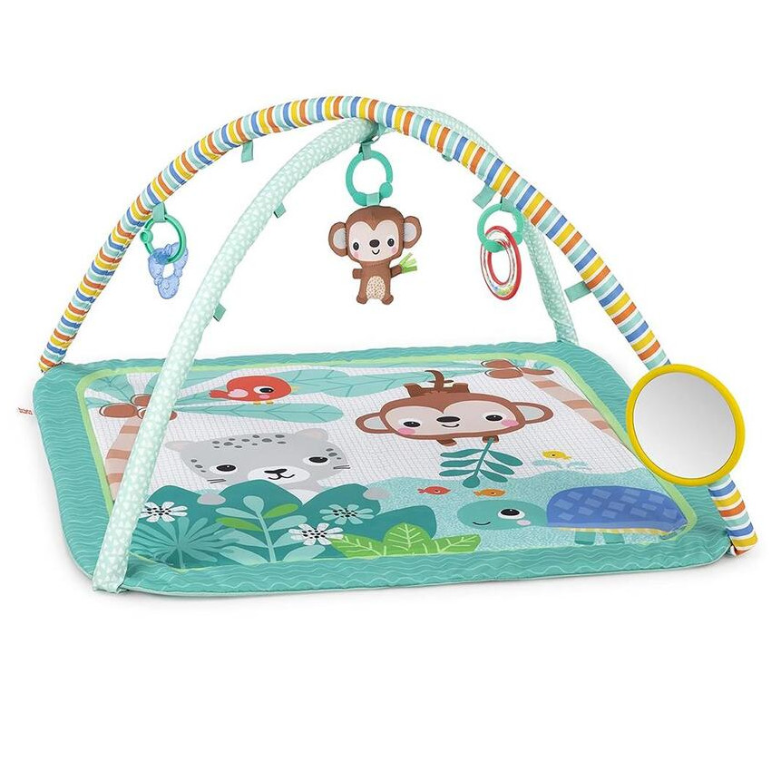 Γυμναστήριο Δραστηριοτήτων Palm Party™ Activity Gym 