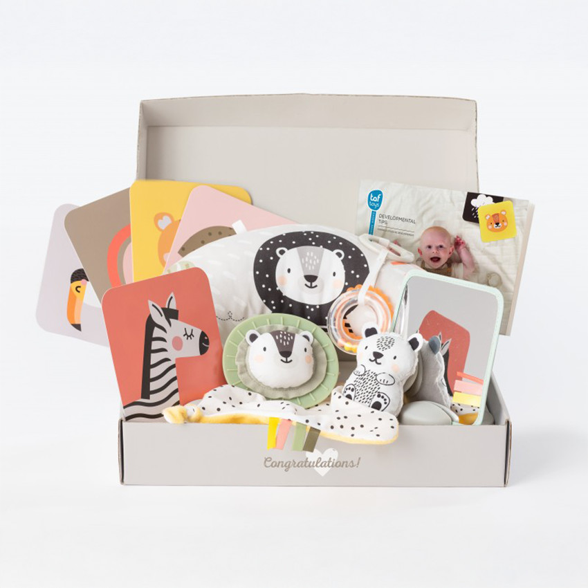 Παιδικα Παιχνιδια Αναπτυξεις Σε Συσκευασια Δωρου Newborn Develop & Play Kit 