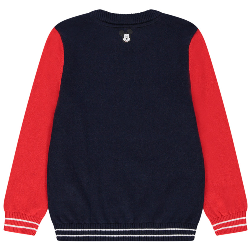 Πουλόβερ πλεκτό δίχρωμο τυπωμένο με το Mickey Disney 