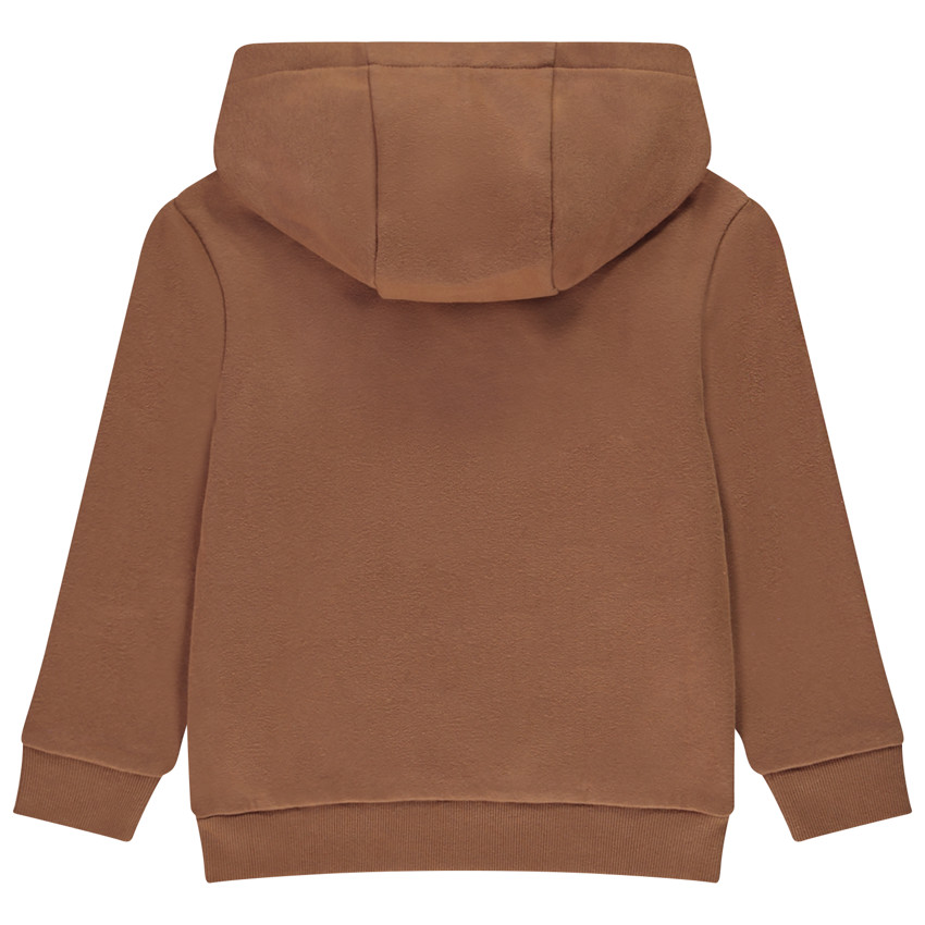 Φούτερ με κουκούλα και φαντεζί σχέδιο για αγόρι 